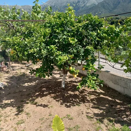 Village * Himare