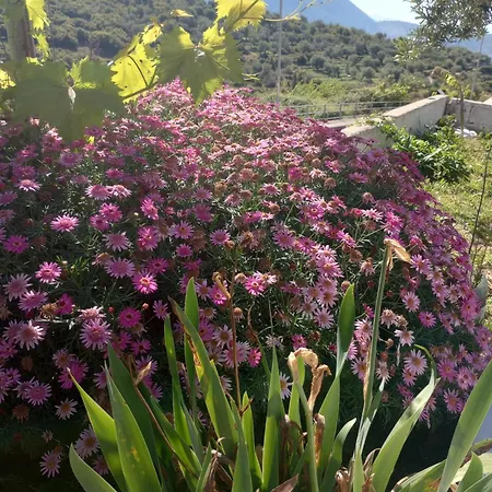 Alloggio in famiglia Village Himare